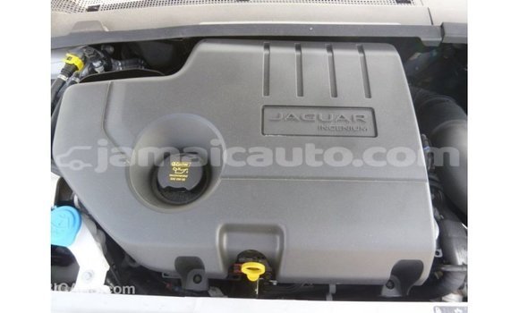 Buy Import Jaguar E-Pace White Car in Import - Dubai in Clarendon Buy Import Jaguar E-Pace White Car in Import - Dubai in Clarendon