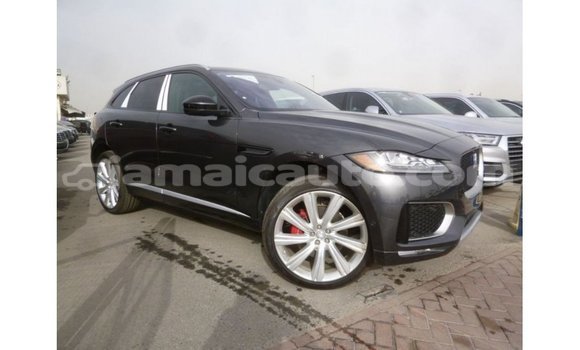 Buy Import Jaguar F-Pace Black Car in Import - Dubai in Clarendon