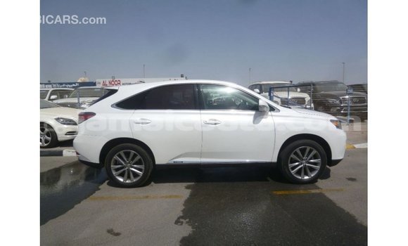 Buy Import Lexus RX White Car in Import - Dubai in Clarendon Buy Import Lexus RX White Car in Import - Dubai in Clarendon