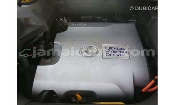 Buy Import Lexus RX White Car in Import - Dubai in Clarendon Buy Import Lexus RX White Car in Import - Dubai in Clarendon