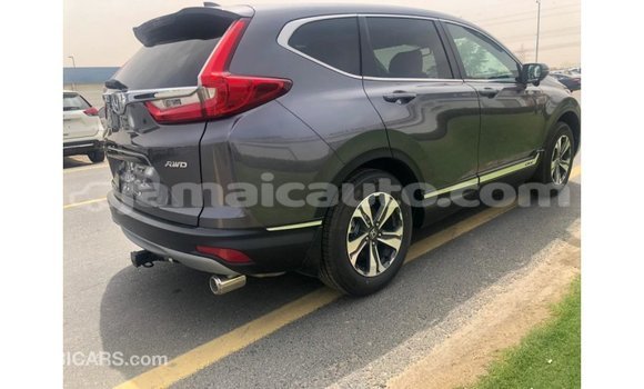 Buy Import Honda C Other Bike in Import - Dubai in Clarendon Buy Import Honda C Other Bike in Import - Dubai in Clarendon