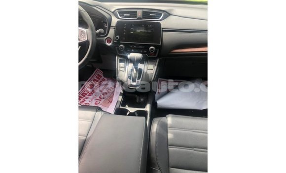 Buy Import Honda C Other Bike in Import - Dubai in Clarendon Buy Import Honda C Other Bike in Import - Dubai in Clarendon