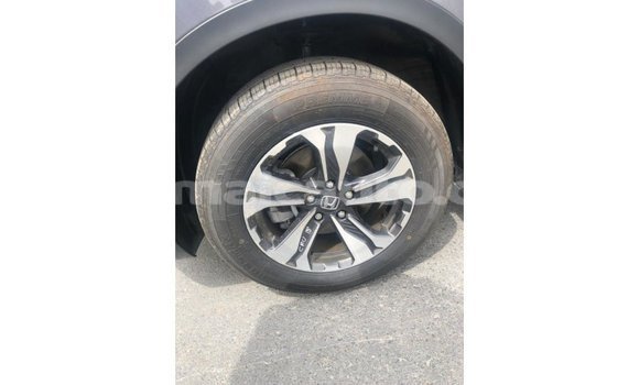 Buy Import Honda C Other Bike in Import - Dubai in Clarendon Buy Import Honda C Other Bike in Import - Dubai in Clarendon