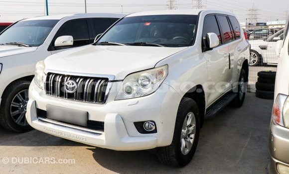 Acheter Import Voiture Toyota Prado Blanc à Import - Dubai, Clarendon Acheter Import Voiture Toyota Prado Blanc à Import - Dubai, Clarendon