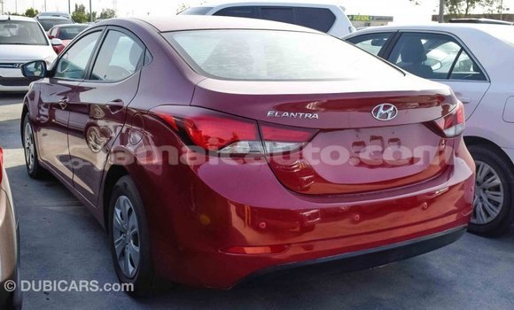 Acheter Import Voiture Hyundai Elantra Rouge à Import - Dubai, Clarendon Acheter Import Voiture Hyundai Elantra Rouge à Import - Dubai, Clarendon