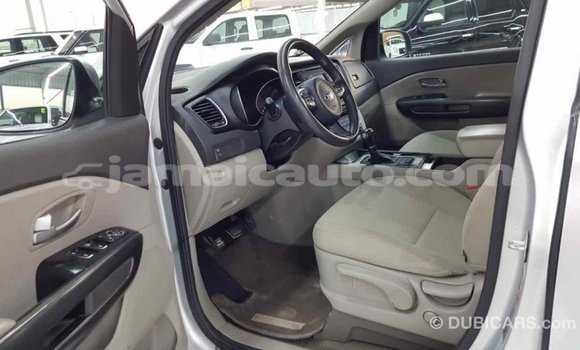 Buy Import Kia Carnival Other Car in Import - Dubai in Clarendon Buy Import Kia Carnival Other Car in Import - Dubai in Clarendon