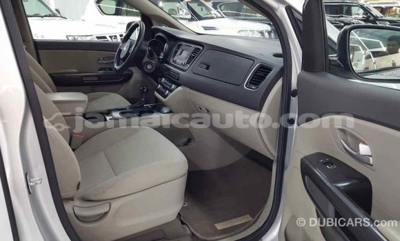 Buy Import Kia Carnival Other Car in Import - Dubai in Clarendon Buy Import Kia Carnival Other Car in Import - Dubai in Clarendon
