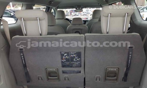 Buy Import Kia Carnival Other Car in Import - Dubai in Clarendon