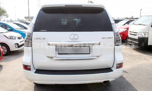 Acheter Import Voiture Lexus GX Blanc à Import - Dubai, Clarendon Acheter Import Voiture Lexus GX Blanc à Import - Dubai, Clarendon