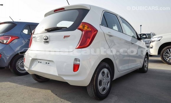 Acheter Import Voiture Kia Picanto Blanc à Import - Dubai, Clarendon Acheter Import Voiture Kia Picanto Blanc à Import - Dubai, Clarendon