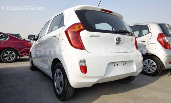 Acheter Import Voiture Kia Picanto Blanc à Import - Dubai, Clarendon Acheter Import Voiture Kia Picanto Blanc à Import - Dubai, Clarendon