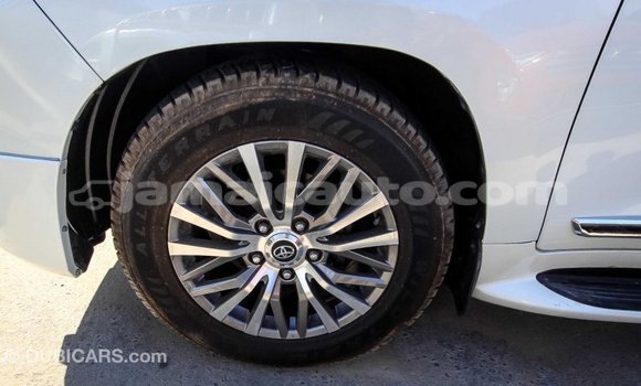 Acheter Import Voiture Toyota Land Cruiser Blanc à Import - Dubai, Clarendon Acheter Import Voiture Toyota Land Cruiser Blanc à Import - Dubai, Clarendon