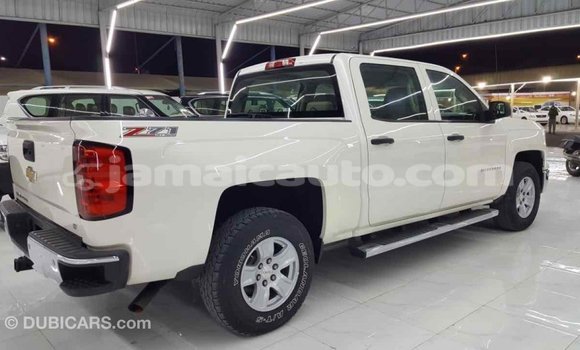 Buy Import Chevrolet Silverado White Car in Import - Dubai in Clarendon Buy Import Chevrolet Silverado White Car in Import - Dubai in Clarendon