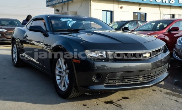 Buy Import Chevrolet Camaro Other Car in Import - Dubai in Clarendon