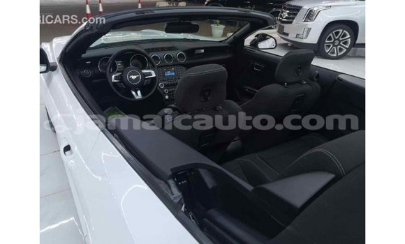 Buy Import Ford Mustang White Car in Import - Dubai in Clarendon Buy Import Ford Mustang White Car in Import - Dubai in Clarendon