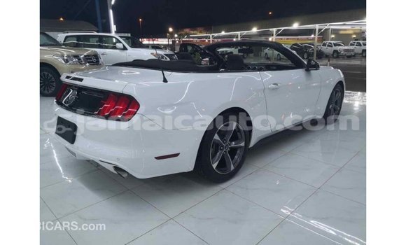 Buy Import Ford Mustang White Car in Import - Dubai in Clarendon