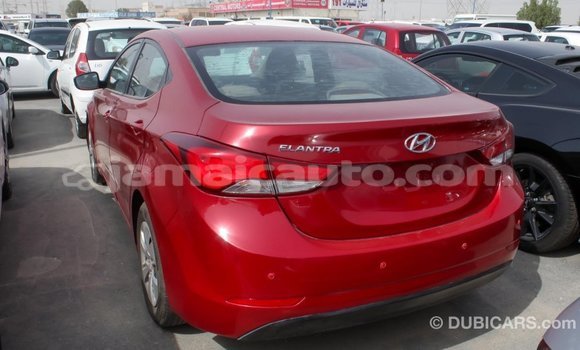 Acheter Import Voiture Hyundai Elantra Rouge à Import - Dubai, Clarendon Acheter Import Voiture Hyundai Elantra Rouge à Import - Dubai, Clarendon