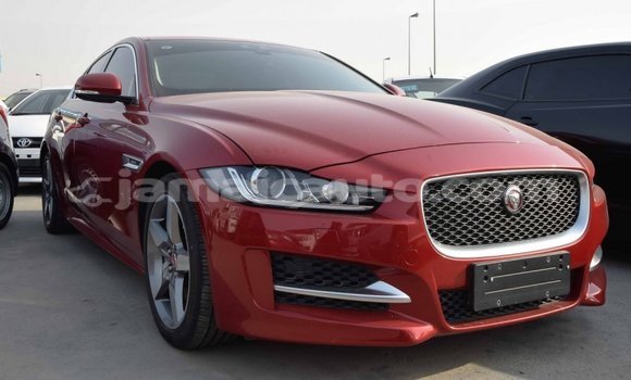 Buy Import Jaguar XE Red Car in Import - Dubai in Clarendon