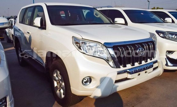 Acheter Import Voiture Toyota Prado Blanc à Import - Dubai, Clarendon Acheter Import Voiture Toyota Prado Blanc à Import - Dubai, Clarendon