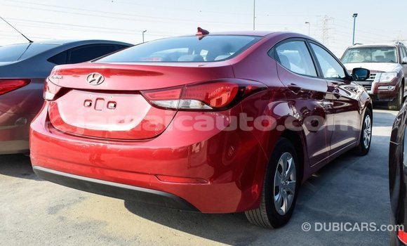 Acheter Import Voiture Hyundai Elantra Rouge à Import - Dubai, Clarendon Acheter Import Voiture Hyundai Elantra Rouge à Import - Dubai, Clarendon