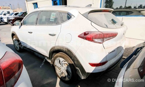 Acheter Import Voiture Hyundai Tucson Blanc à Import - Dubai, Clarendon Acheter Import Voiture Hyundai Tucson Blanc à Import - Dubai, Clarendon