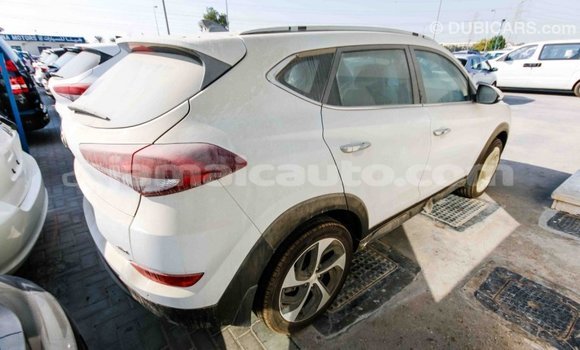 Buy Import Hyundai Tucson White Car in Import - Dubai in Clarendon