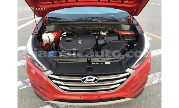 Acheter Import Voiture Hyundai Tucson Rouge à Import - Dubai, Clarendon Acheter Import Voiture Hyundai Tucson Rouge à Import - Dubai, Clarendon