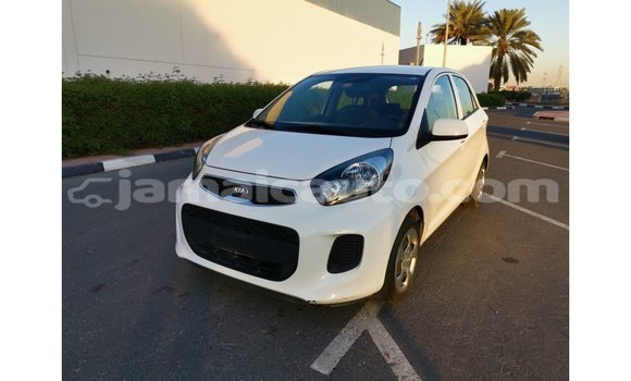 Acheter Import Voiture Kia Picanto Blanc à Import - Dubai, Clarendon Acheter Import Voiture Kia Picanto Blanc à Import - Dubai, Clarendon