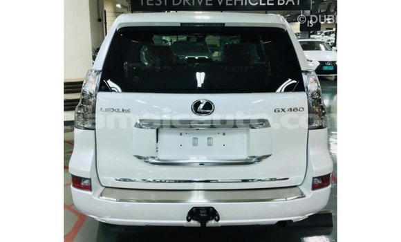 Buy Import Lexus GX White Car in Import - Dubai in Clarendon Buy Import Lexus GX White Car in Import - Dubai in Clarendon