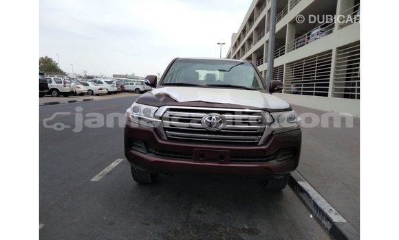 Buy Import Toyota Land Cruiser Brown Car in Import - Dubai in Clarendon Buy Import Toyota Land Cruiser Brown Car in Import - Dubai in Clarendon