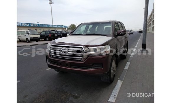 Buy Import Toyota Land Cruiser Brown Car in Import - Dubai in Clarendon Buy Import Toyota Land Cruiser Brown Car in Import - Dubai in Clarendon