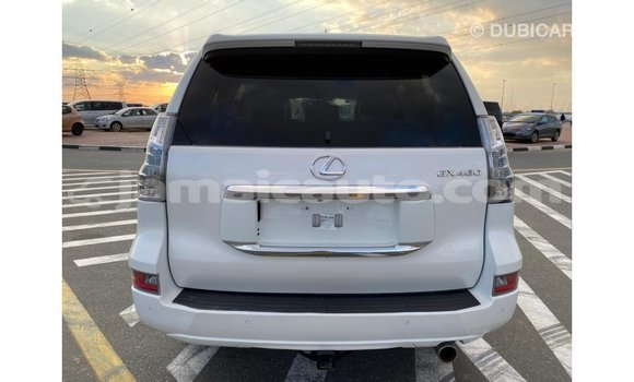 Acheter Import Voiture Lexus GX Blanc à Import - Dubai, Clarendon Acheter Import Voiture Lexus GX Blanc à Import - Dubai, Clarendon
