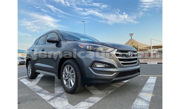 Acheter Import Voiture Hyundai Tucson Blanc à Import - Dubai, Clarendon Acheter Import Voiture Hyundai Tucson Blanc à Import - Dubai, Clarendon