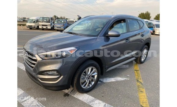 Acheter Import Voiture Hyundai Tucson Blanc à Import - Dubai, Clarendon Acheter Import Voiture Hyundai Tucson Blanc à Import - Dubai, Clarendon