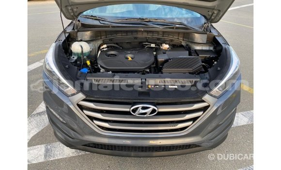 Acheter Import Voiture Hyundai Tucson Blanc à Import - Dubai, Clarendon Acheter Import Voiture Hyundai Tucson Blanc à Import - Dubai, Clarendon