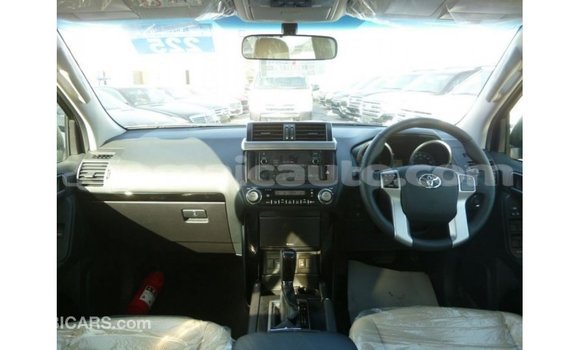 Buy Import Toyota Prado Brown Car in Import - Dubai in Clarendon Buy Import Toyota Prado Brown Car in Import - Dubai in Clarendon