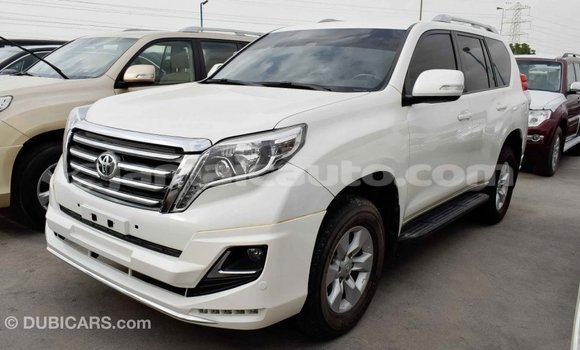 Acheter Import Voiture Toyota Prado Blanc à Import - Dubai, Clarendon Acheter Import Voiture Toyota Prado Blanc à Import - Dubai, Clarendon