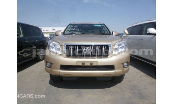 Acheter Import Voiture Toyota Prado Autre à Import - Dubai, Clarendon Acheter Import Voiture Toyota Prado Autre à Import - Dubai, Clarendon
