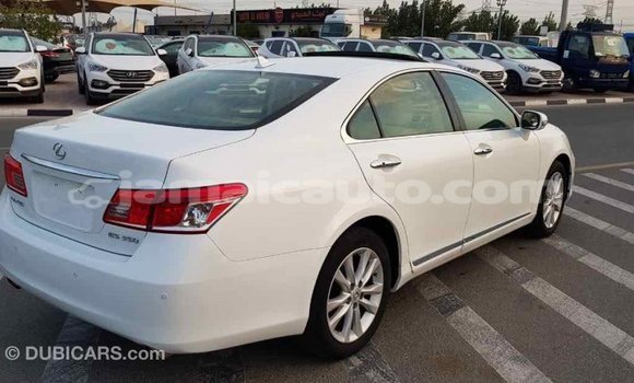 Acheter Import Voiture Lexus ES Blanc à Import - Dubai, Clarendon Acheter Import Voiture Lexus ES Blanc à Import - Dubai, Clarendon