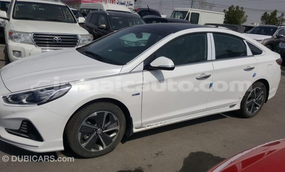 Buy Import Hyundai Sonata White Car in Import - Dubai in Clarendon Buy Import Hyundai Sonata White Car in Import - Dubai in Clarendon