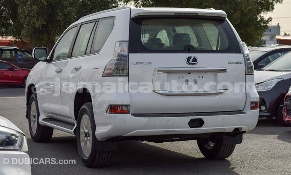 Acheter Import Voiture Lexus GX Blanc à Import - Dubai, Clarendon Acheter Import Voiture Lexus GX Blanc à Import - Dubai, Clarendon