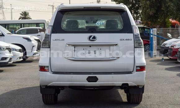 Acheter Import Voiture Lexus GX Blanc à Import - Dubai, Clarendon Acheter Import Voiture Lexus GX Blanc à Import - Dubai, Clarendon