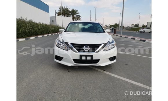 Buy Import Nissan Altima White Car in Import - Dubai in Clarendon Buy Import Nissan Altima White Car in Import - Dubai in Clarendon