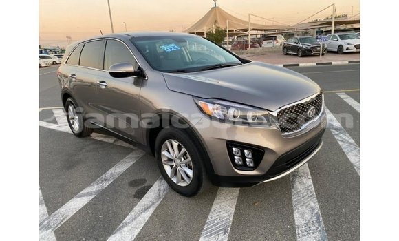 Acheter Import Voiture Kia Sorento Autre à Import - Dubai, Clarendon Acheter Import Voiture Kia Sorento Autre à Import - Dubai, Clarendon