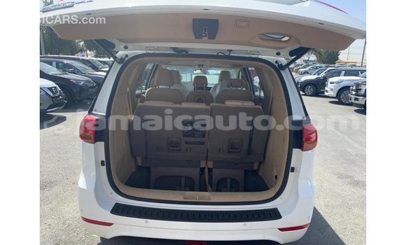 Buy Import Kia Carnival White Car in Import - Dubai in Clarendon Buy Import Kia Carnival White Car in Import - Dubai in Clarendon