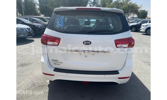 Buy Import Kia Carnival White Car in Import - Dubai in Clarendon Buy Import Kia Carnival White Car in Import - Dubai in Clarendon