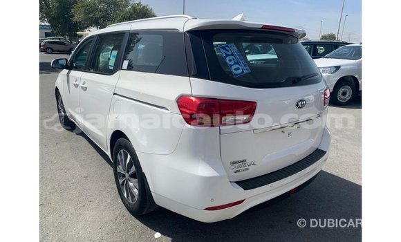 Buy Import Kia Carnival White Car in Import - Dubai in Clarendon Buy Import Kia Carnival White Car in Import - Dubai in Clarendon