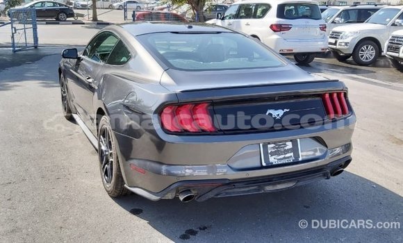 Buy Import Ford Mustang Other Car in Import - Dubai in Clarendon Buy Import Ford Mustang Other Car in Import - Dubai in Clarendon
