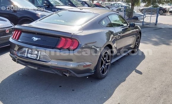 Buy Import Ford Mustang Other Car in Import - Dubai in Clarendon Buy Import Ford Mustang Other Car in Import - Dubai in Clarendon