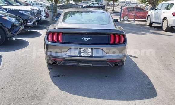 Buy Import Ford Mustang Other Car in Import - Dubai in Clarendon Buy Import Ford Mustang Other Car in Import - Dubai in Clarendon